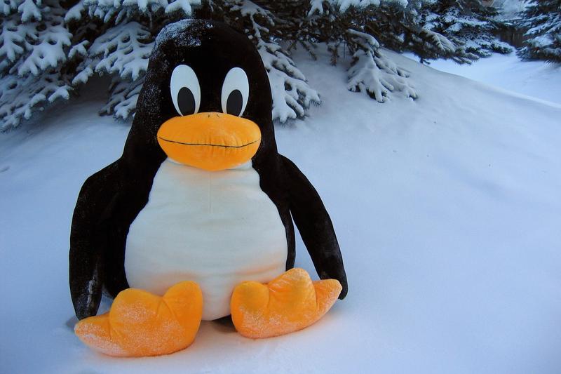 Linux