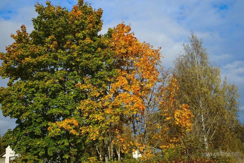 Autumn in Finland