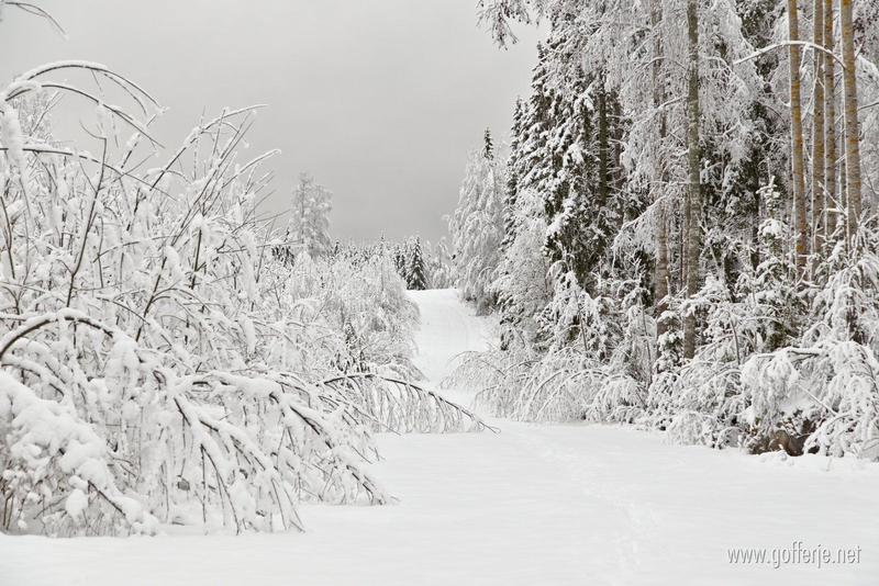 Almost a half a meter of snow on the ground